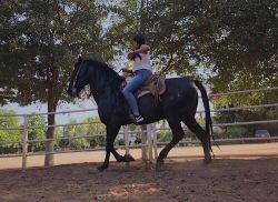 Photo 24220 Beautiful Women from Culiacan Sinaloa Mexico