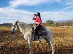 Photo 24295 Beautiful Women from Culiacan Sinaloa Mexico