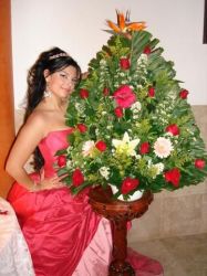 Photo 2048 Beautiful Women from Culiacan Sinaloa Mexico