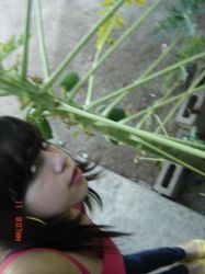 Photo 2904 Beautiful Women from Culiacan Sinaloa Mexico 
