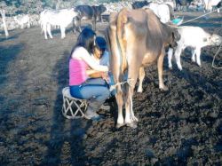 Photo 11253 Beautiful Women from Culiacan Sinaloa Mexico 