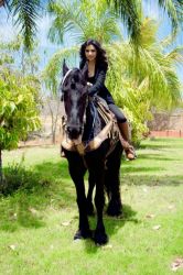 Photo 11859 Beautiful Women from Culiacan Sinaloa Mexico 