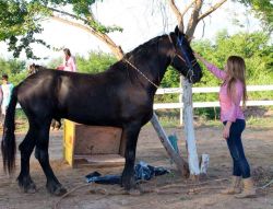 Foto Belleza Culichi Culiacan Sinaloa Mexico Haz click para ampliar 