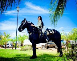 Photo 11867 Beautiful Women from Culiacan Sinaloa Mexico 