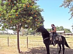 Foto Belleza Culichi Culiacan Sinaloa Mexico Haz click para ampliar 