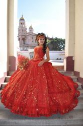 Foto 9570 Belleza Culichi Culiacan Sinaloa Mexico Haz click para ampliar 